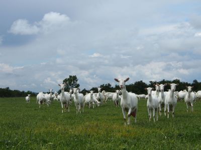 Tour idea: Discovering local products